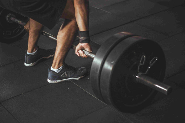 Gym & Fitness